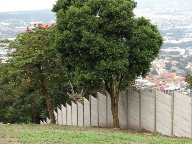 Tapial Santa Elena